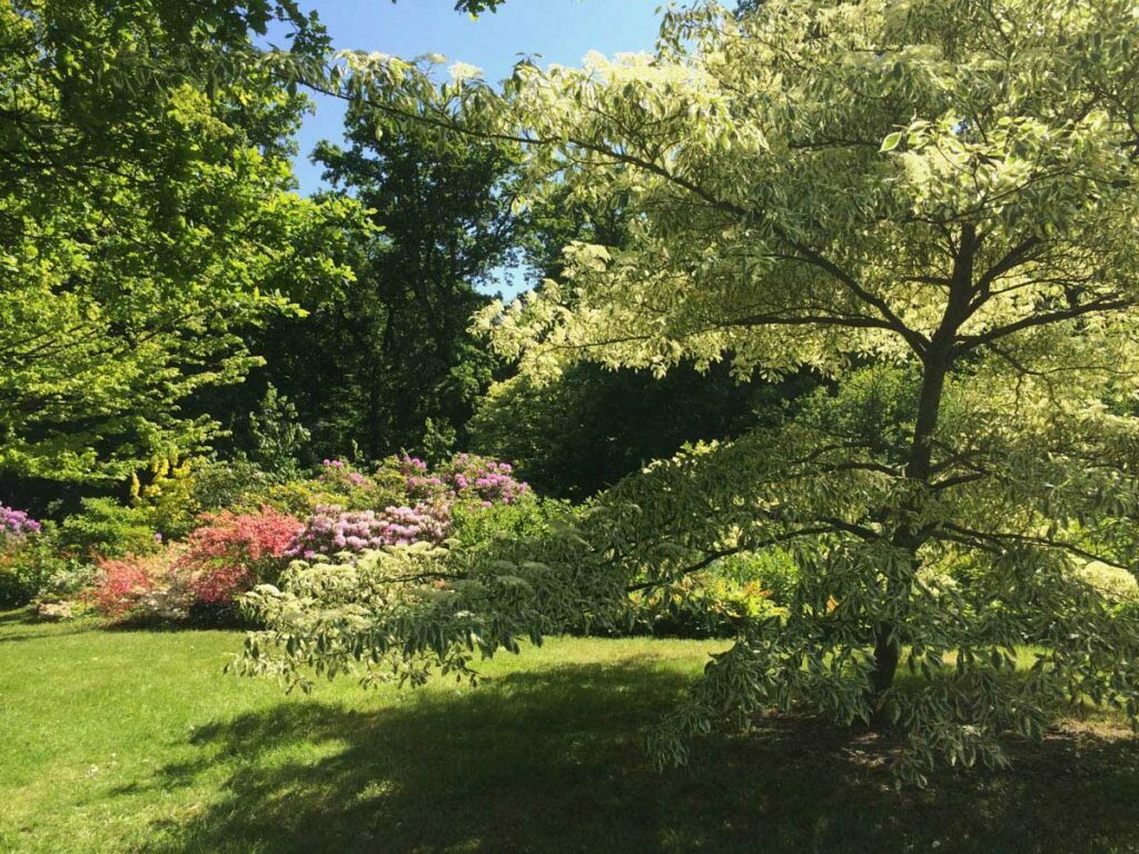 fête des plantes au domaine de courson