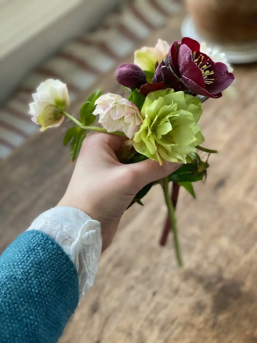 dresser une table de printemps hellébores