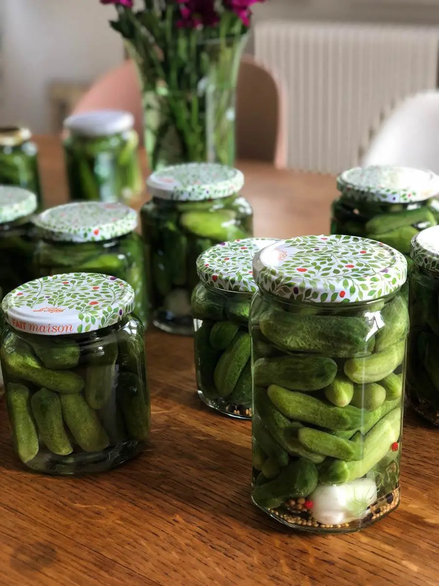 preparer le potager au printemps conserves