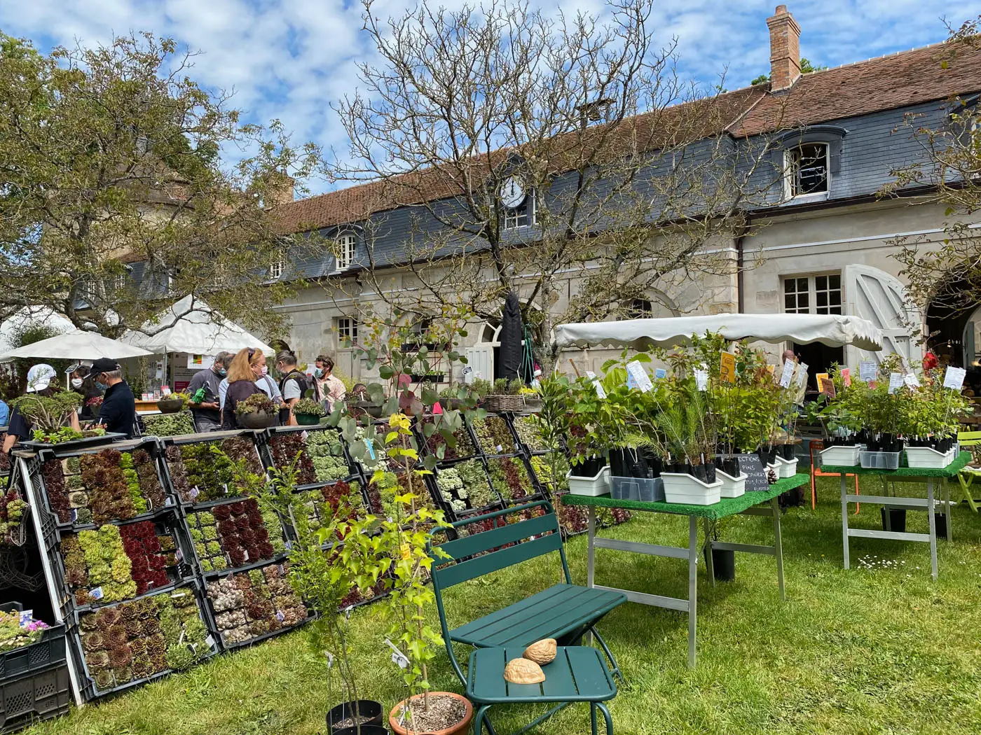 fete des plantes saint jean de beauregard printemps 2021-21