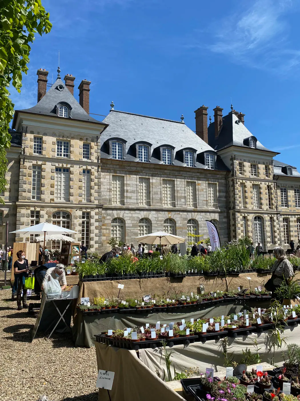 fete des plantes saint jean de beauregard printemps 2021 château