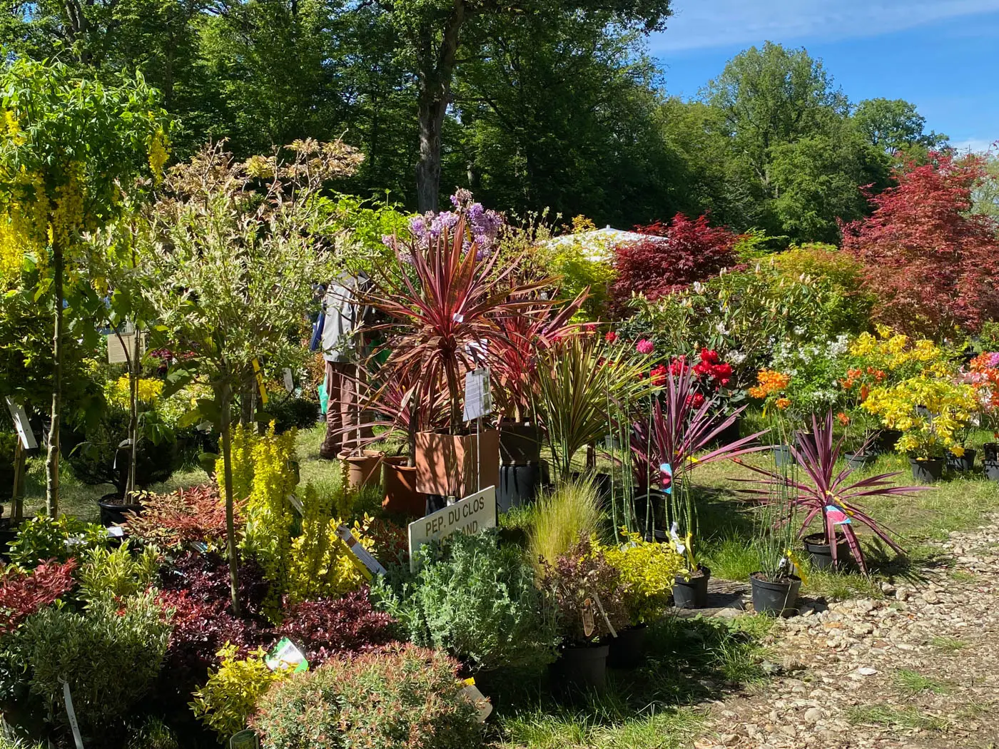 fete des plantes saint jean de beauregard printemps 2021 pépinière