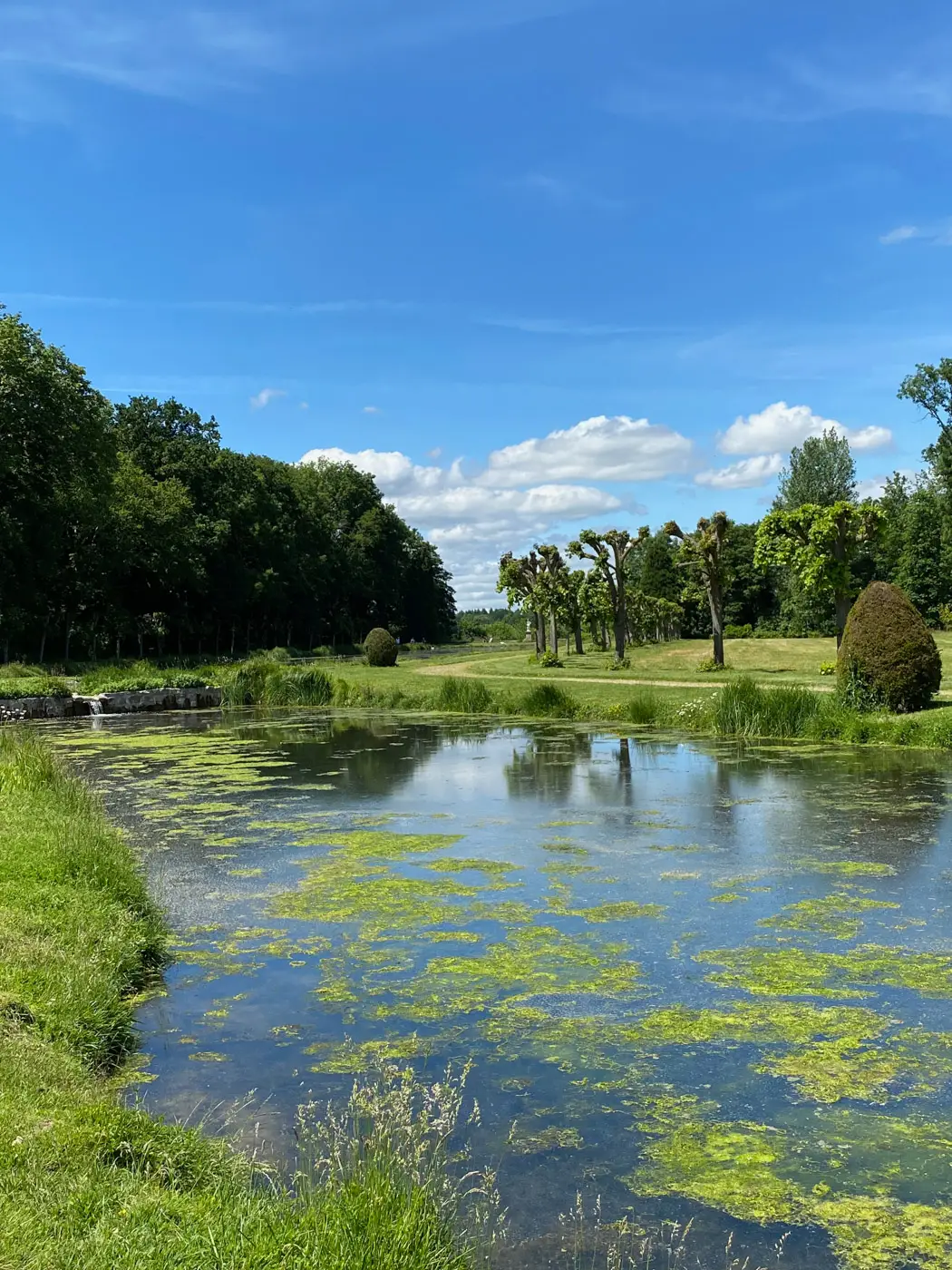 journées de la rose domaine de chaalis-19