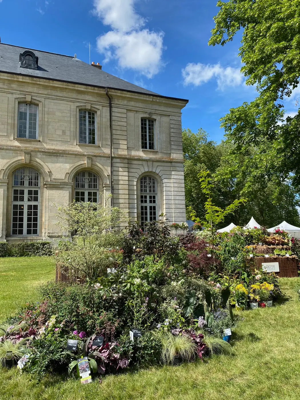 journées de la rose domaine de chaalis-50