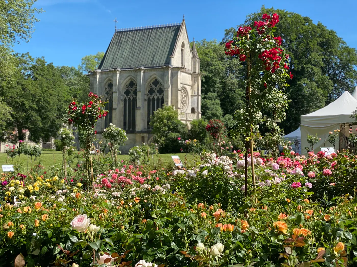 journées de la rose domaine de chaalis-60