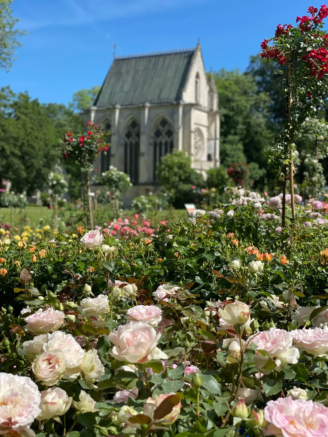 journées de la rose domaine de chaalis-62