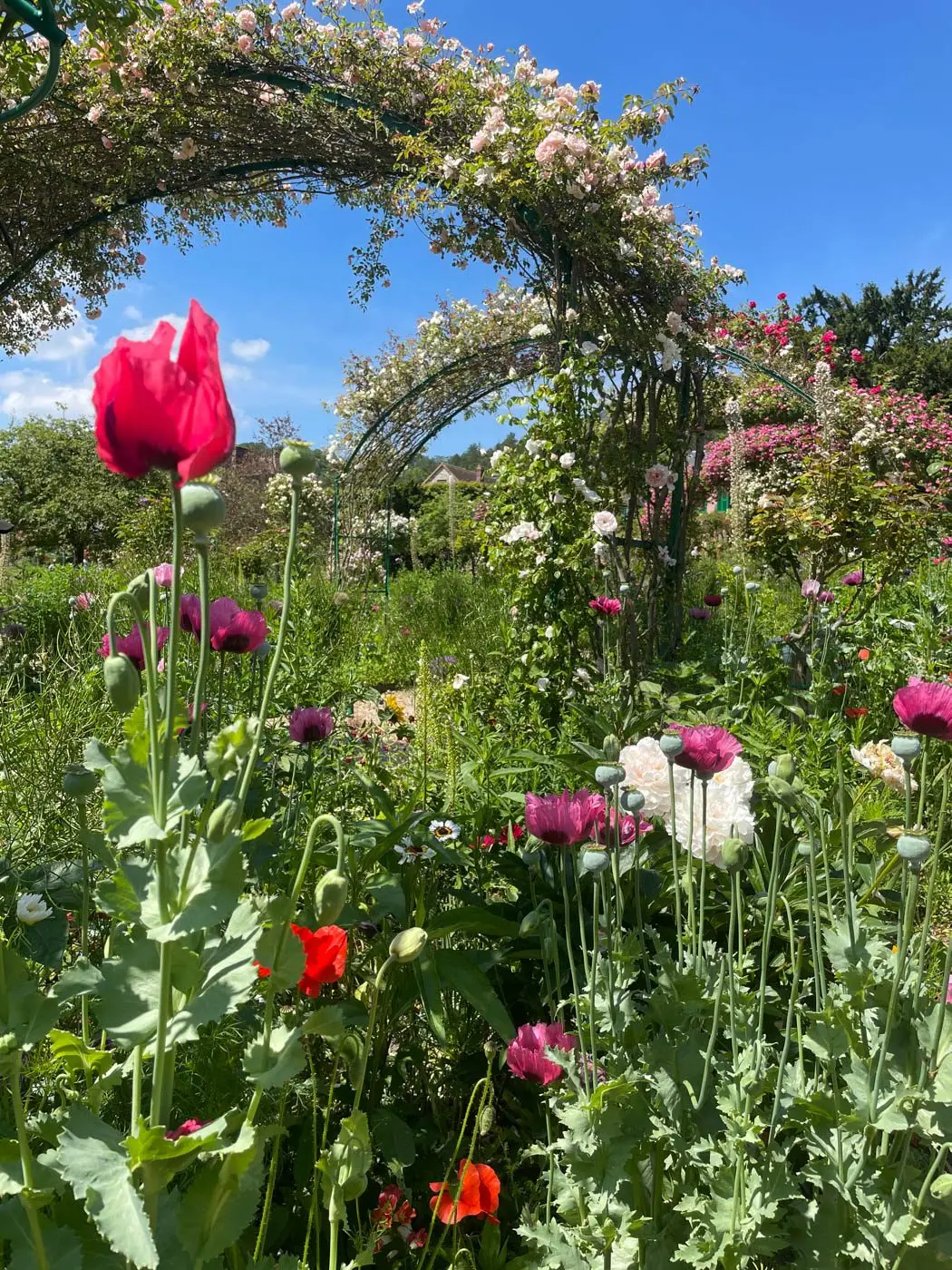 Jardins de Claude Monet Giverny-021