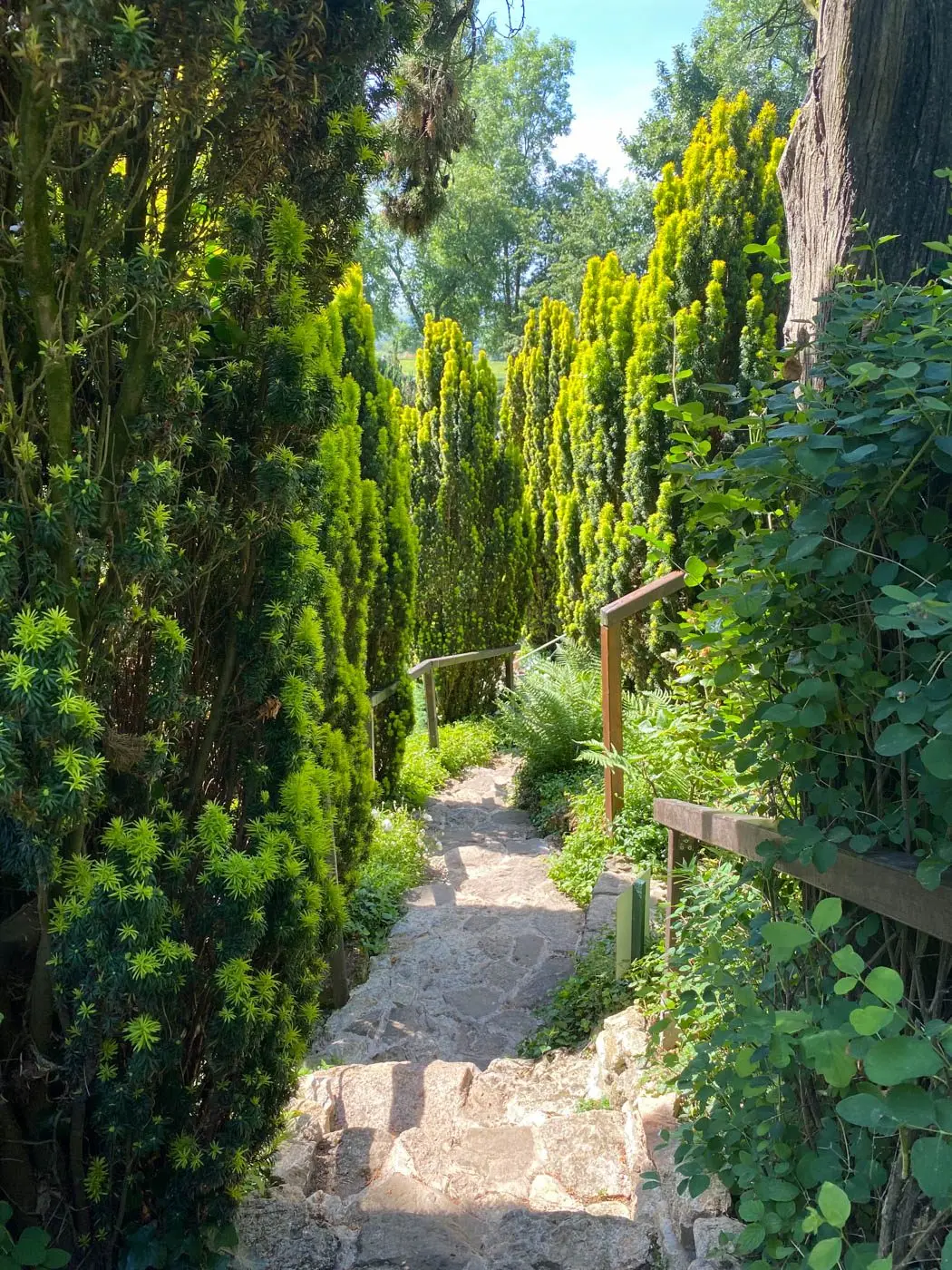 gerberoy jardin henri le sidaner-025