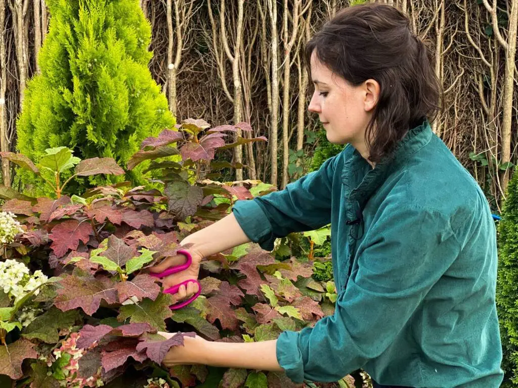 DIY couronne automne hortensias tutoriel autumn fall wreath tutorial hydrangeas-25