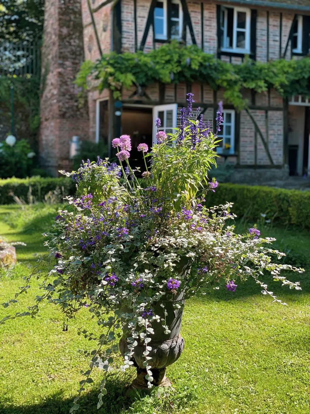 jardin des ifs gerberoy-50