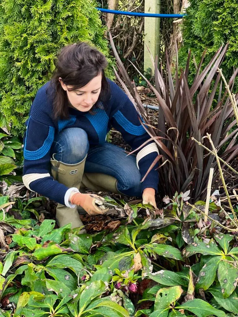 préparer jardin printemps-4