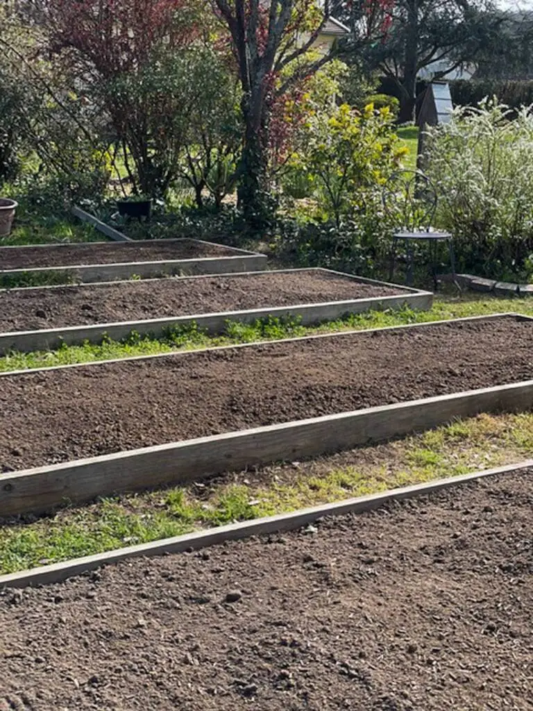 rectangles potager
