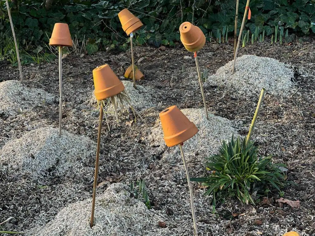 préparer-le-jardin-printemps-11