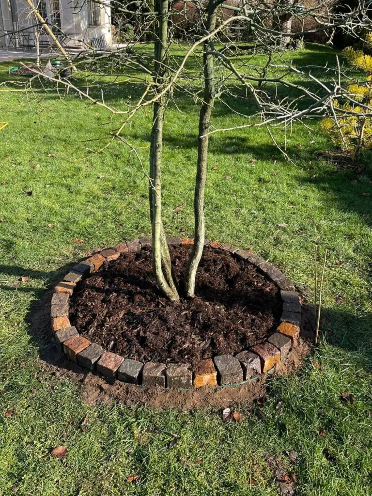 préparer-le-jardin-printemps-25
