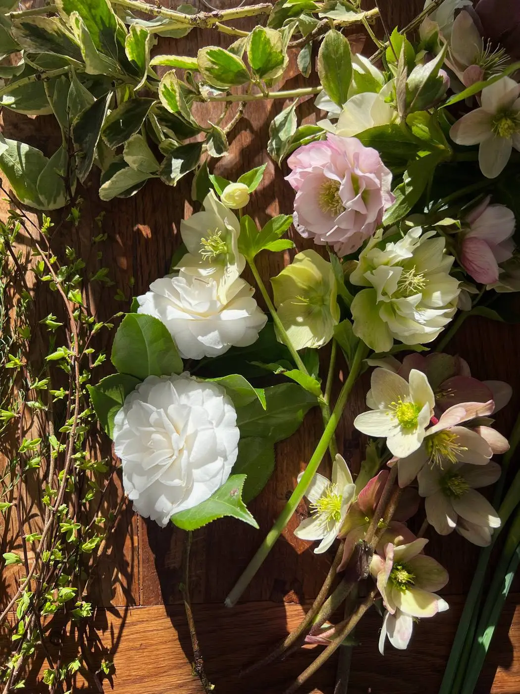 DIY bouquet hellebores-06