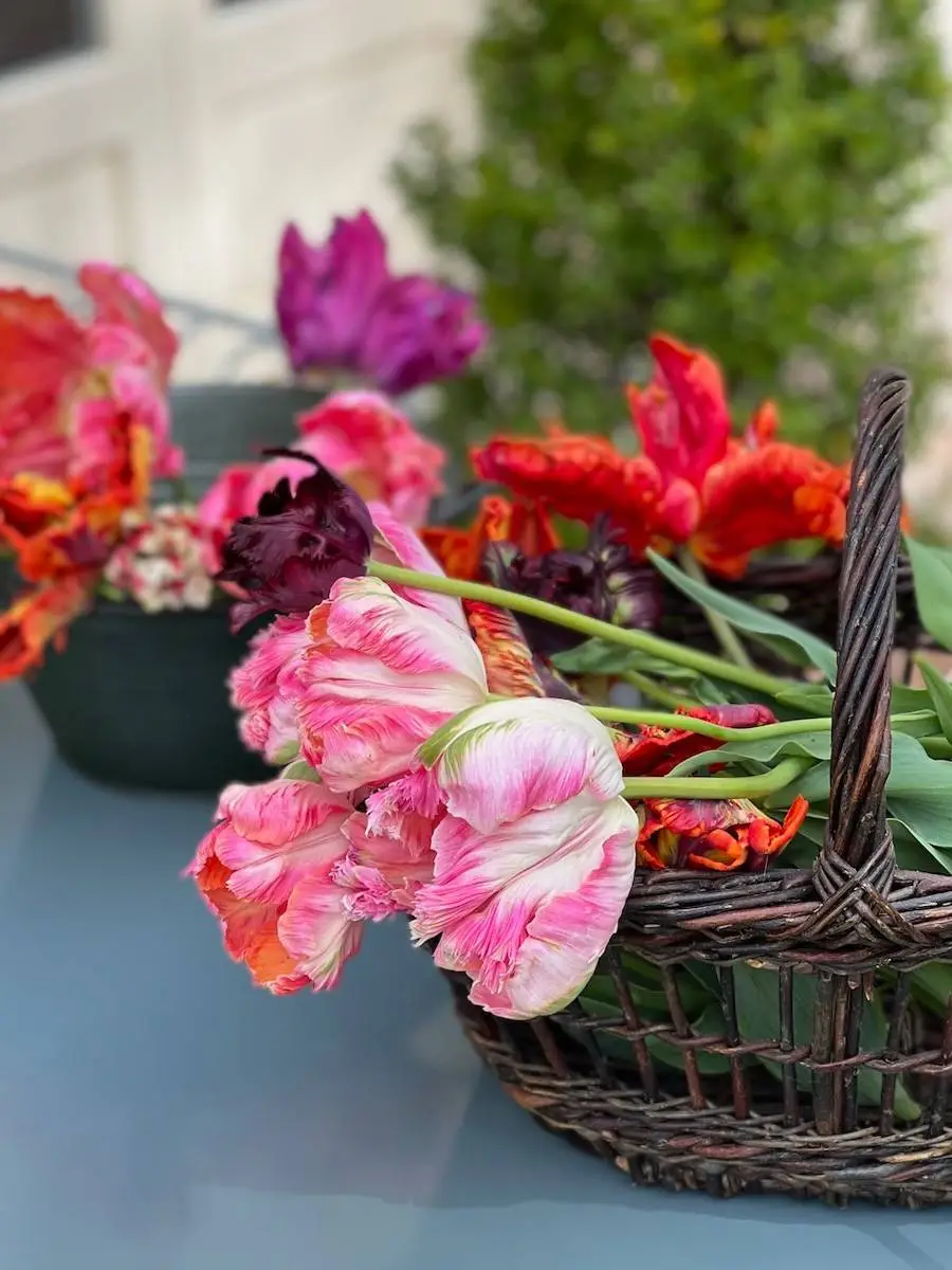 bouquet de tulipes DIY Tulip bouquet arrangement-21