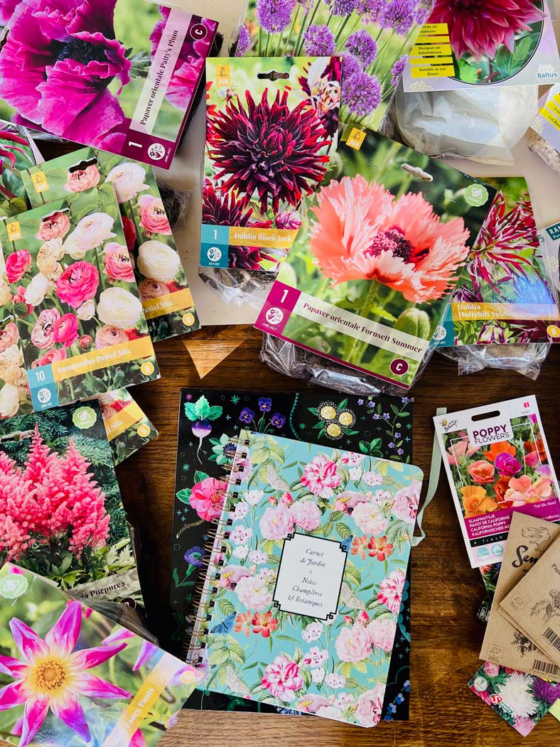 fleurs semences graines jardin