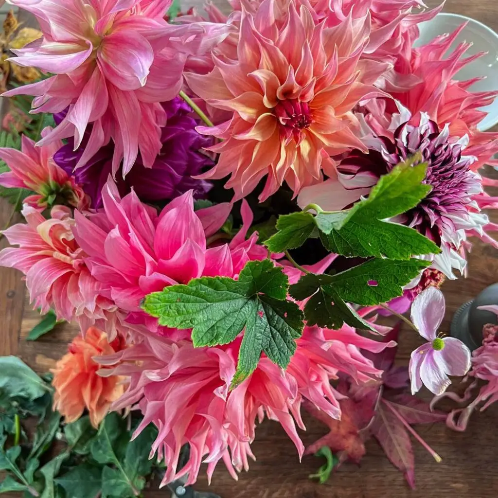 DIY bouquet dahlias automnal fall autumn-09