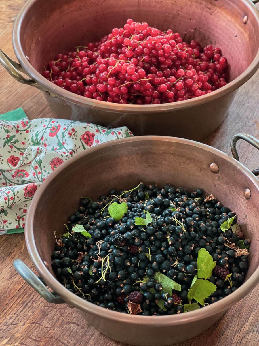 préparation confiture maison home made jam French kitchen chronicles