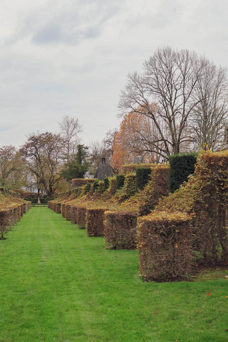 jardins eyrignac automne-31