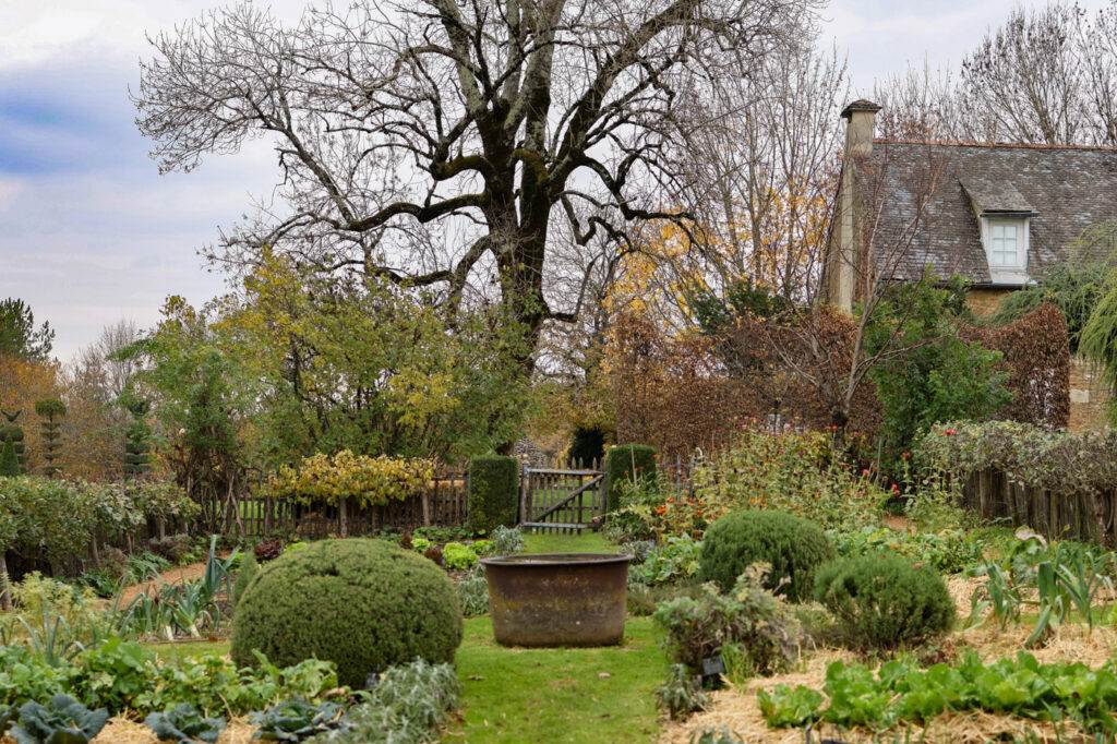 jardins eyrignac automne-76