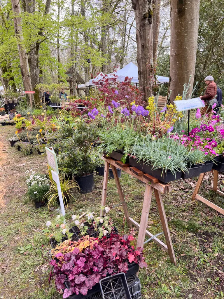Chateau de la Bourdaisière fête des plantes