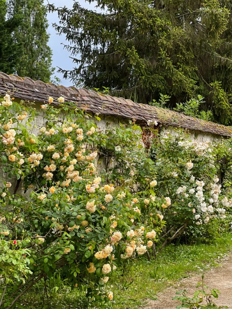 maison jean cocteau house milly-la-forêt-56