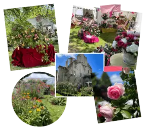 Journée de la Rose Chaalis