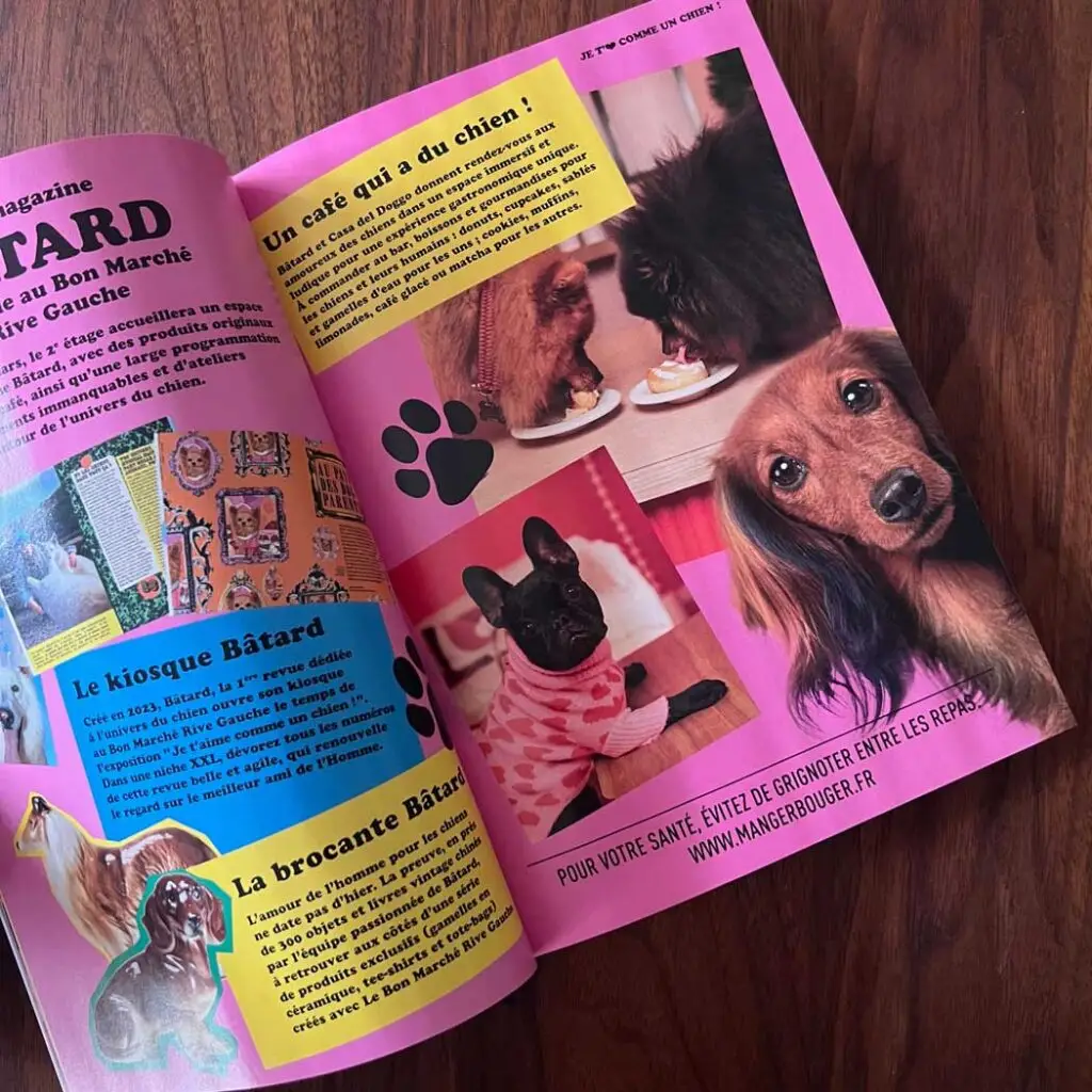 catalogue chiens Bon Marché 2