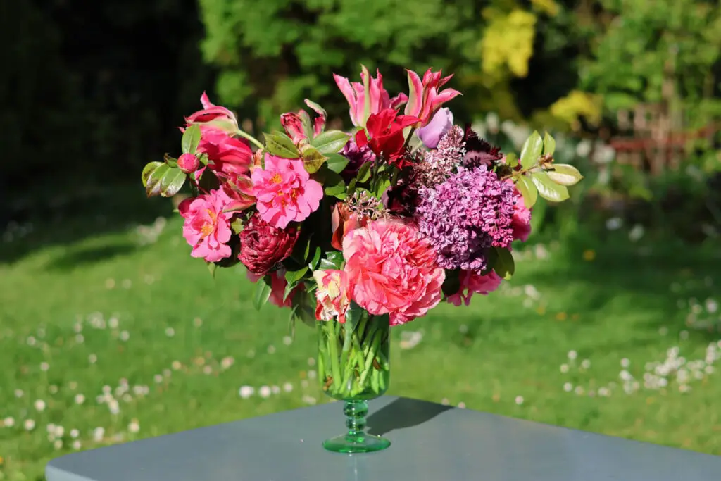 bouquet de tulipes lilas pivoines