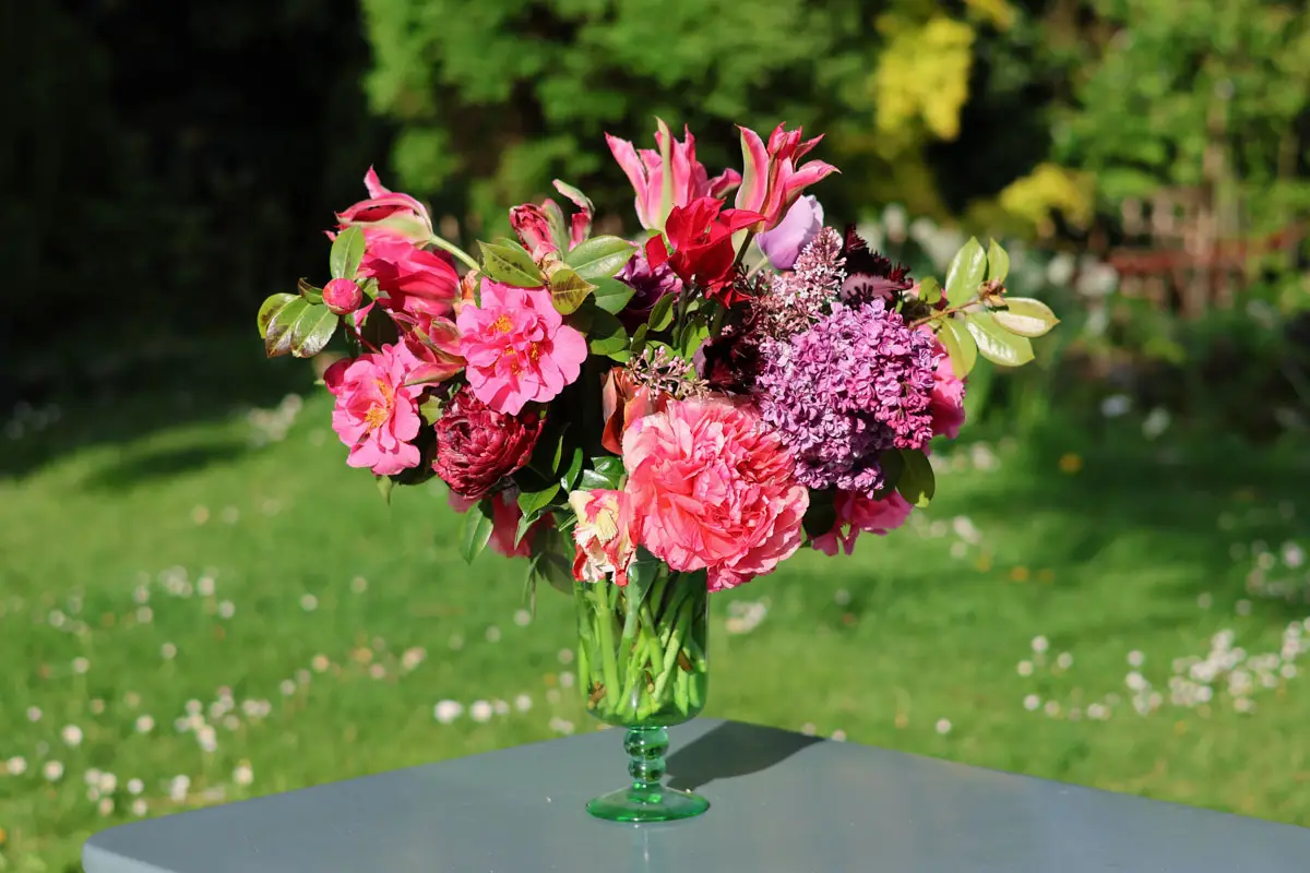 bouquet de tulipes lilas pivoines