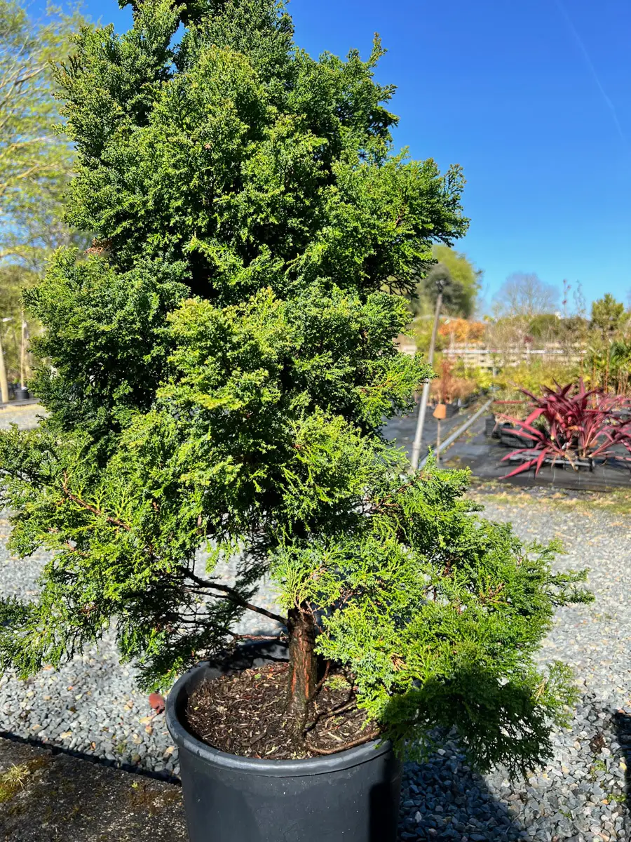 weekend Bretagne Brittany-22