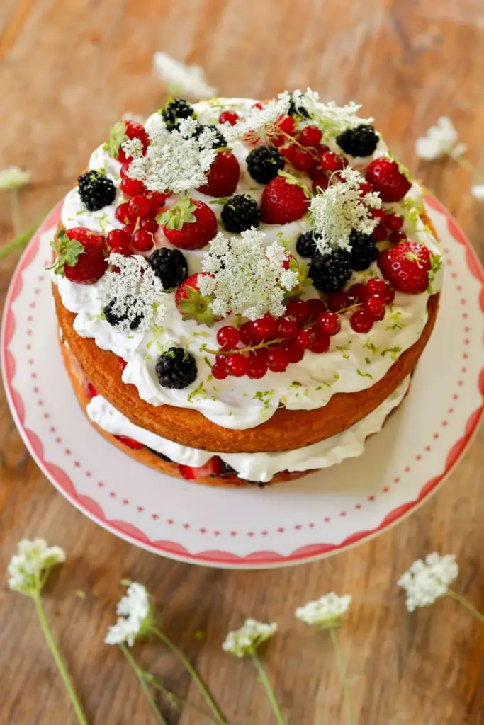Une Bonne Maison gâteau aux fruits