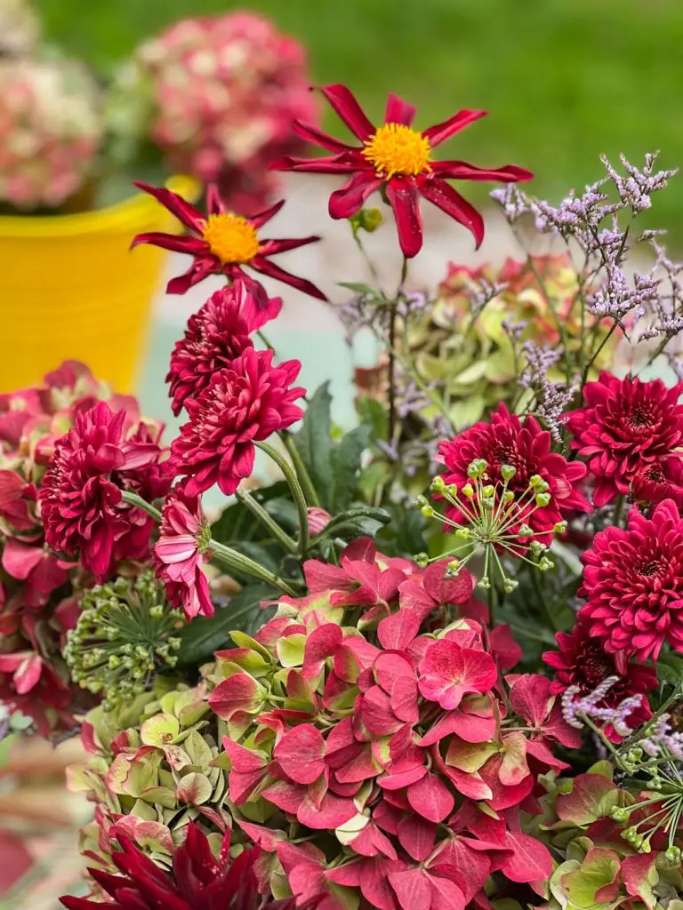 beautiful fall bouquet automne grenat-15