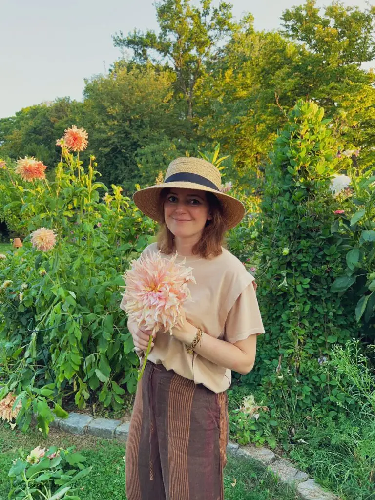 jardin dahlias French garden