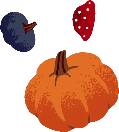 ferme de citrouilles pumpkin patch