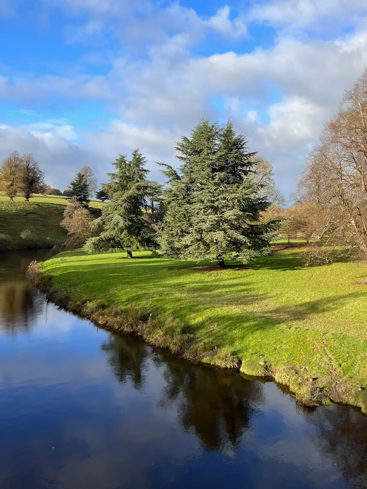 Noël Pemberley Chatsworth Christmas