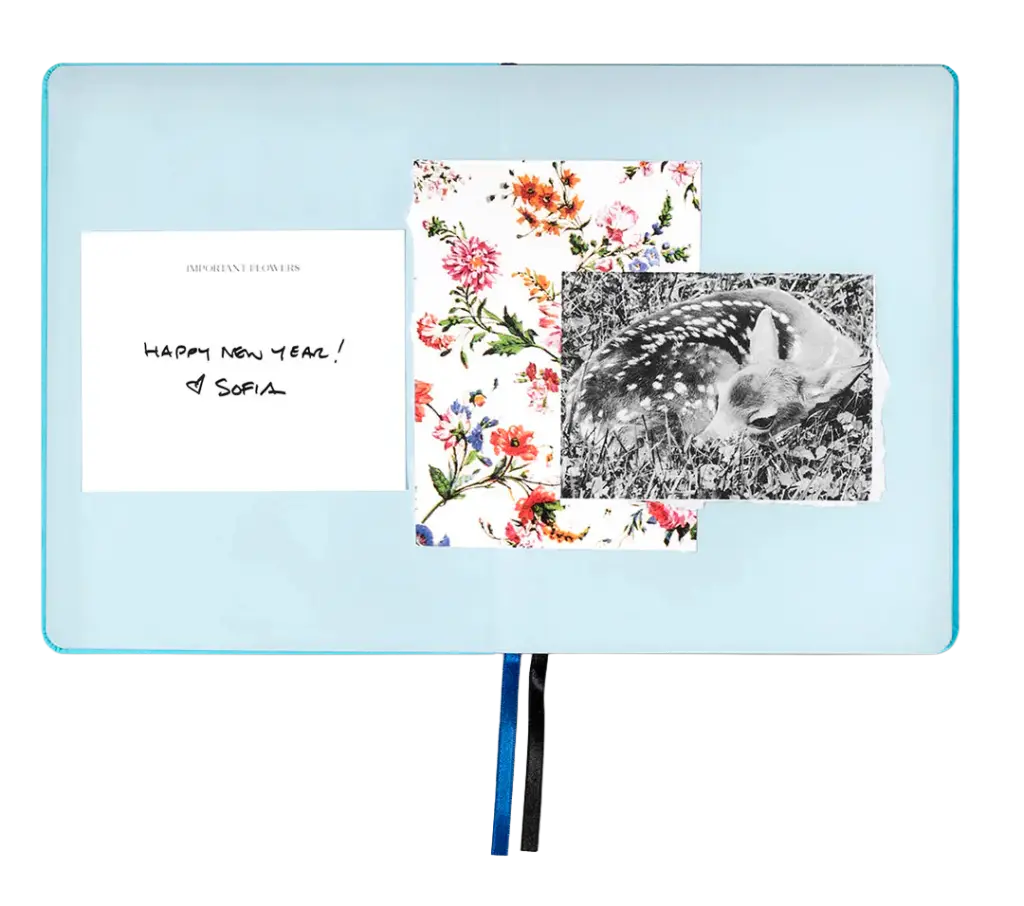 agenda sofia coppola 2026 - 2