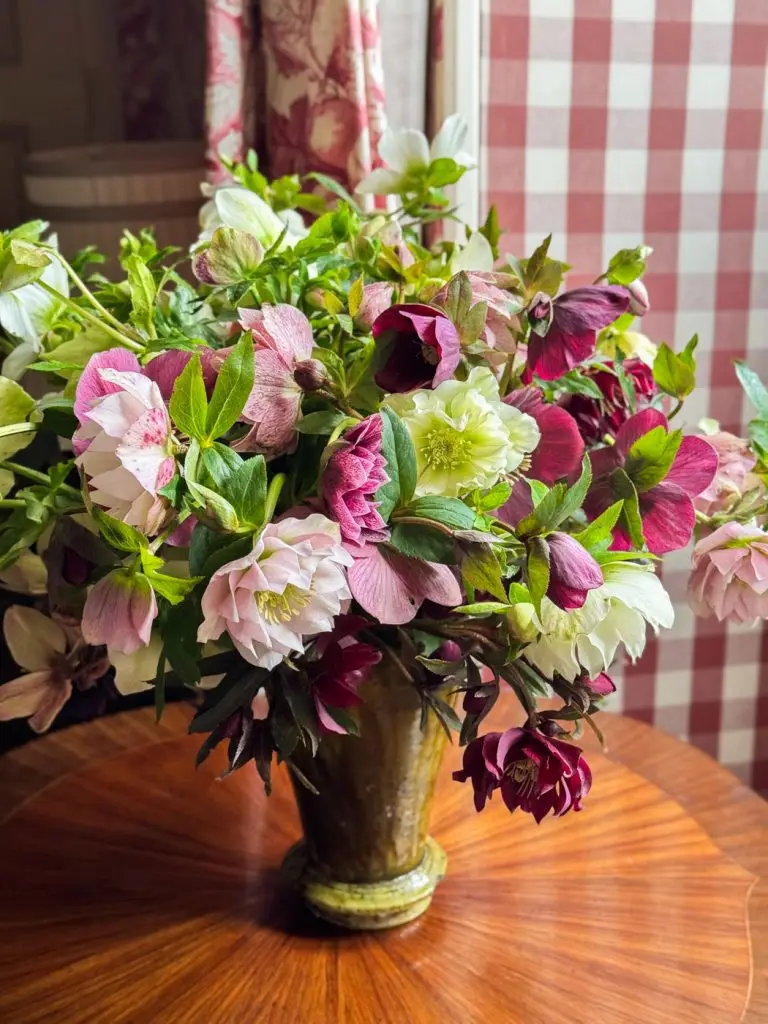 beau bouquet hellebores flowers-17