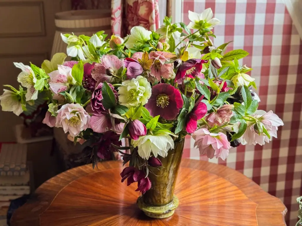 beau bouquet hellebores flowers-21