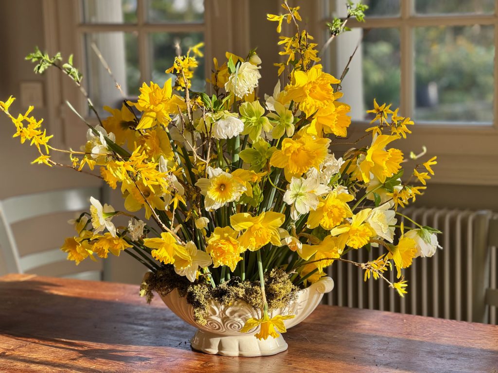 Bouquet printanier narcisses jonquilles hellebores spring daffodil bouquet-20