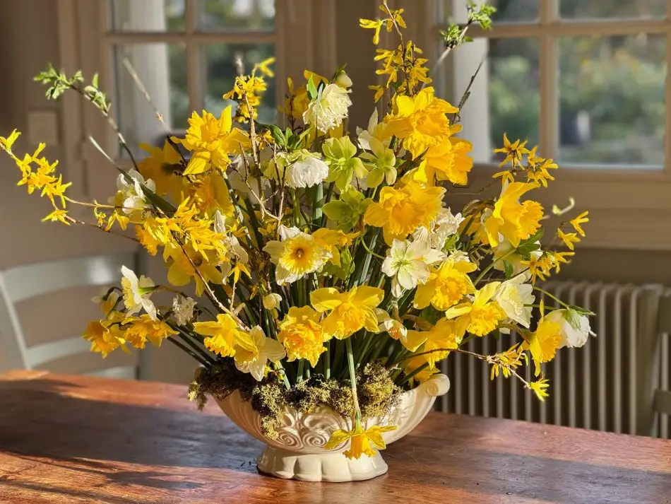 Bouquet printanier narcisses jonquilles hellebores spring daffodil bouquet-20