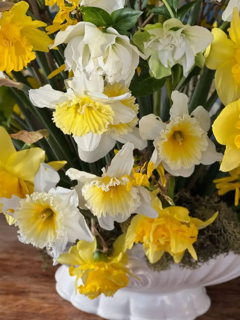 DIY Bouquet printanier narcisses jonquilles hellebores spring daffodil bouquet-31