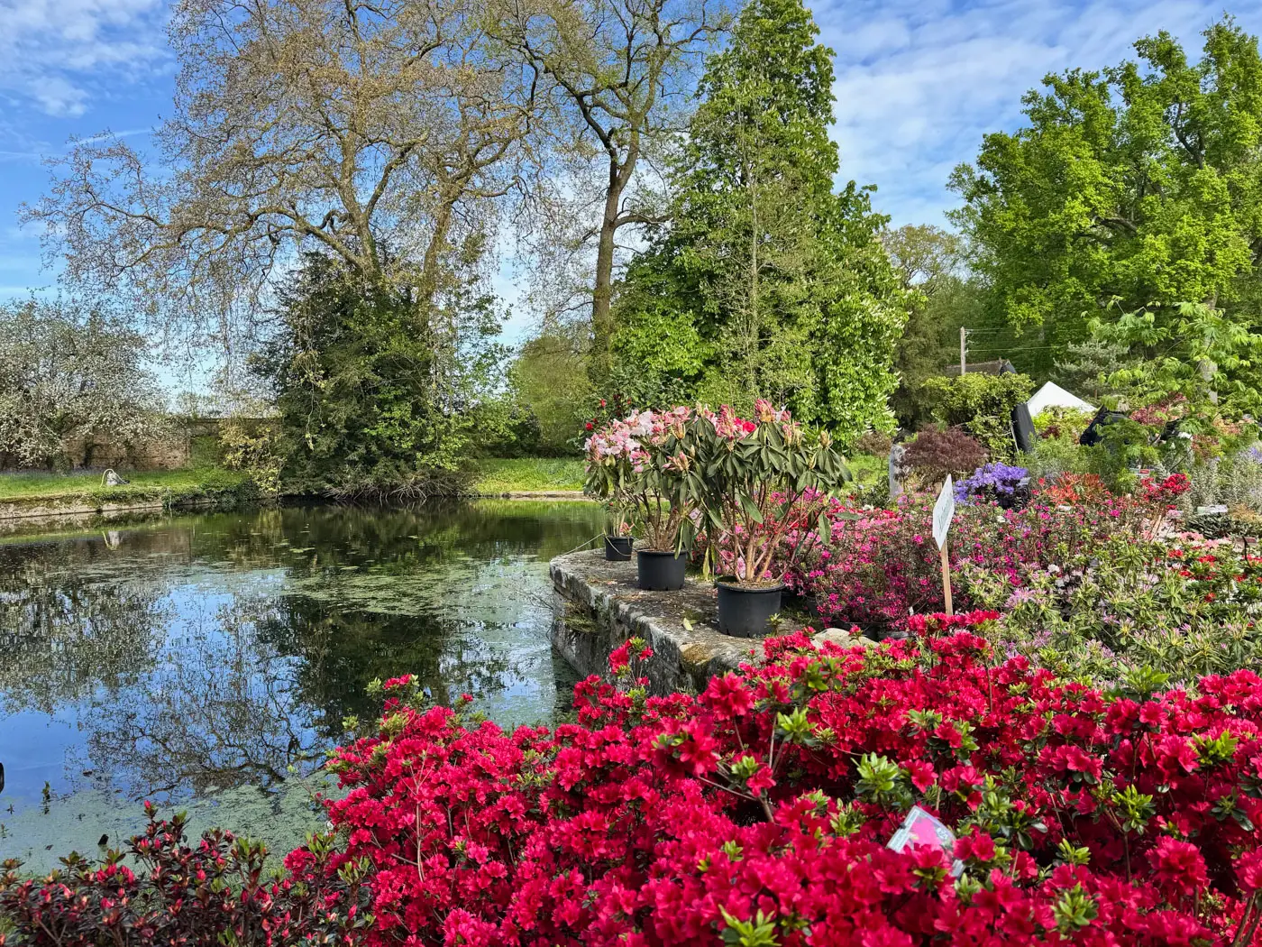 Fête des Plantes Saint Jean de Beauregard plant show-16