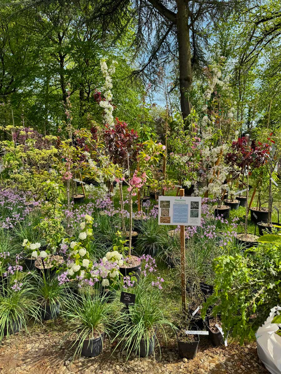 Fête des Plantes Saint Jean de Beauregard plant show-7