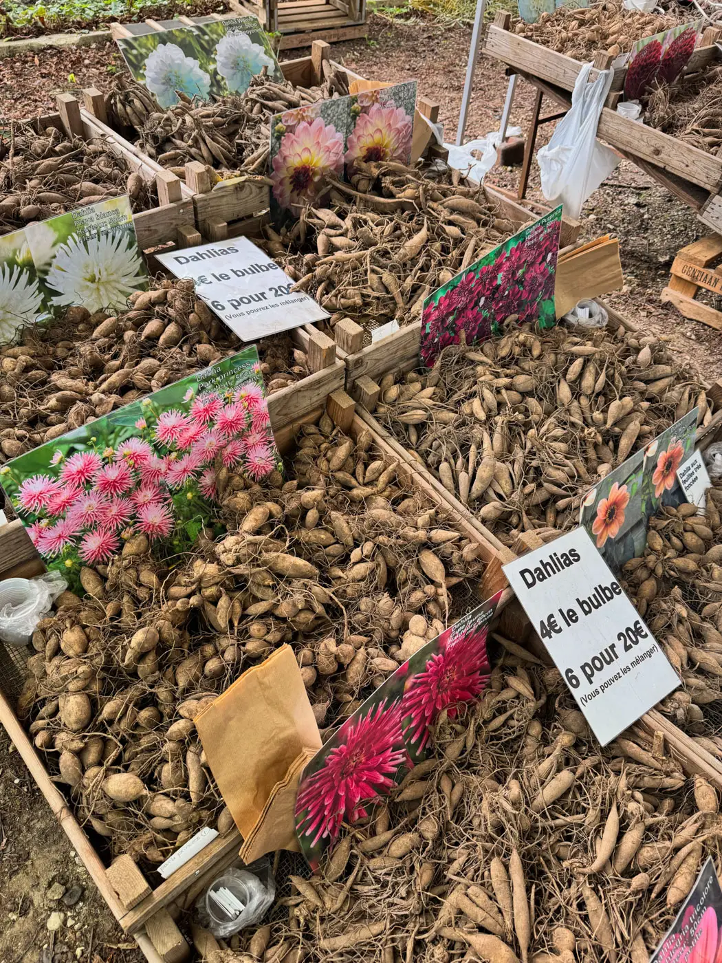 Fête des Plantes Saint Jean de Beauregard plant show-72