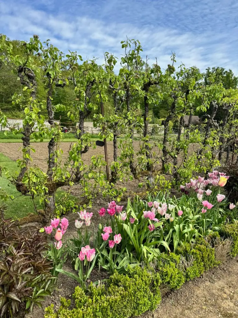 Fête des Plantes Saint Jean de Beauregard plant show-78