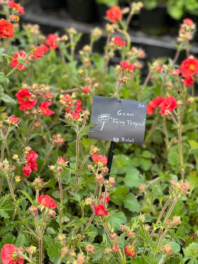 Fête des Plantes Saint-Jean-de-Beauregard plant show-9