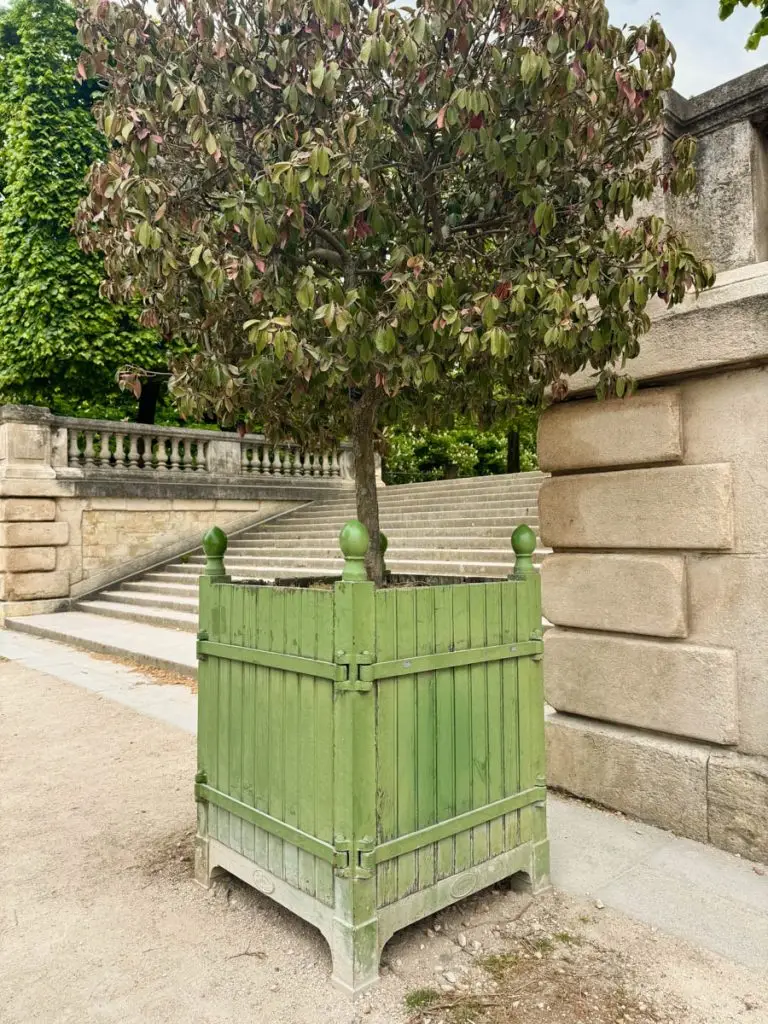 Paris Jardin des Tuileries Gardens
