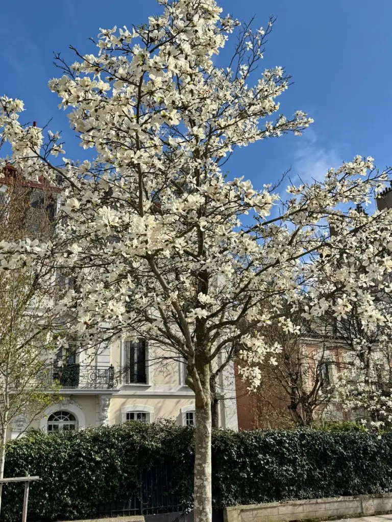Une Bonne Maison Chroniques Weekend